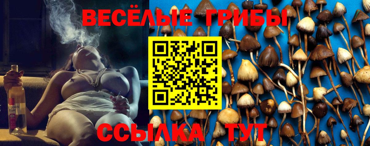 Галлюциногенные грибы Psilocybe  Вход с VPN  Симферополь 